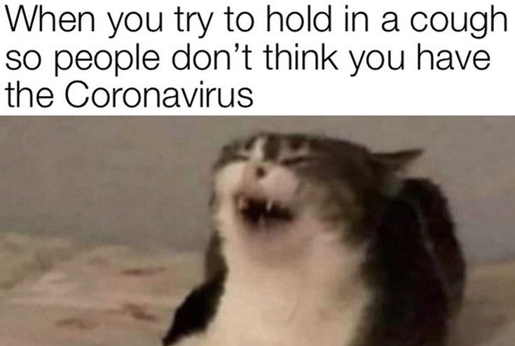 cat-try-hold-cough-so-people-dont-think-have-coronavirus