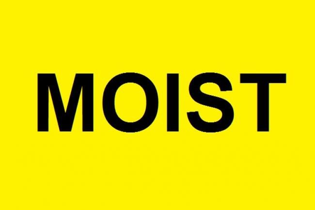 Moist.  MOIST MOIST MOIST