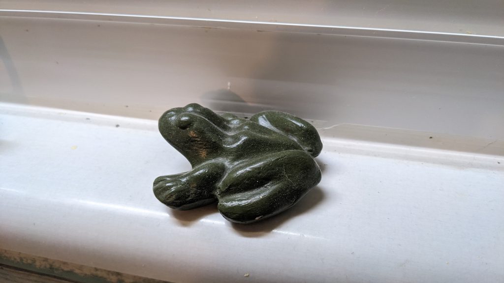 Fatass Frog on a Windowsill