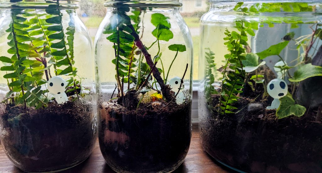 Photo Kiosks and Jars of Stolen Plants