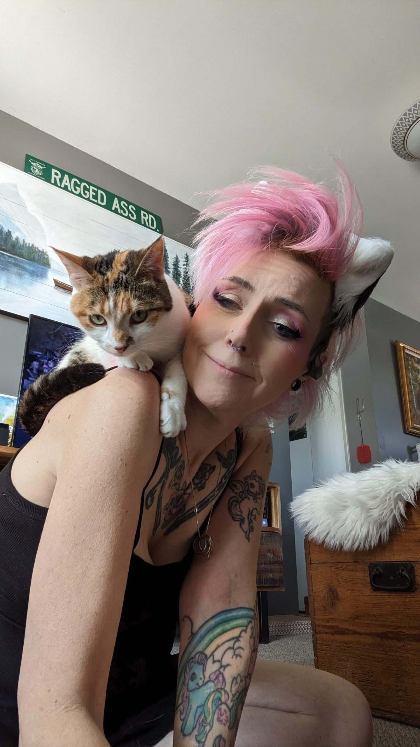 Chicky Kitty she's a good kitty ⋆ chicky · blog