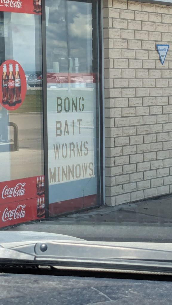 bong bait worms