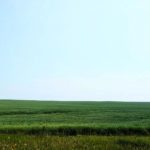 wp-1722121498774865668680526170804