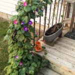 wp-17260658364058403040455449703258