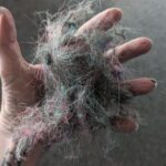 wp-17305569495395384578524475351204