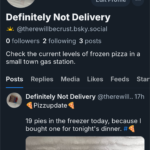 wp-17371235955262860357421806836690