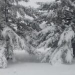 wp-17453312114352475911599114139059