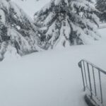 wp-1745418240323389284273952385460