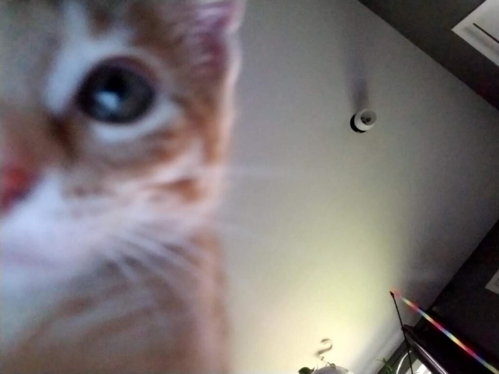 front facing camera