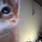 front facing camera