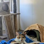 wp-17463701820362175984960106563503