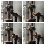 wp-17490439408634568336437595992600