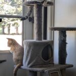 gimme dat zombie amoeba that controls me like a jaeger