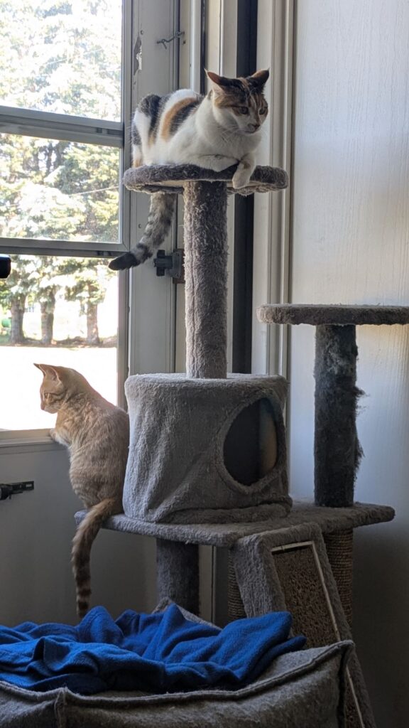 gimme dat zombie amoeba that controls me like a jaeger