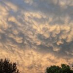 wp-1753569009301889811213048877505