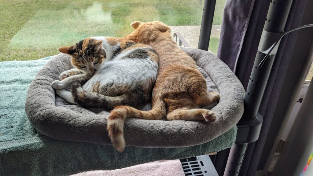 a little early for nudity