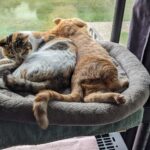 a little early for nudity