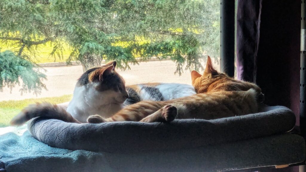 Podrick teabagged Shawshank.