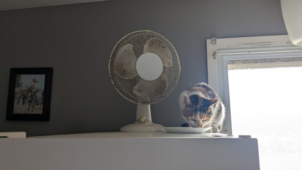 that’s a dirty fan