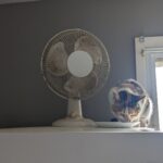 that’s a dirty fan