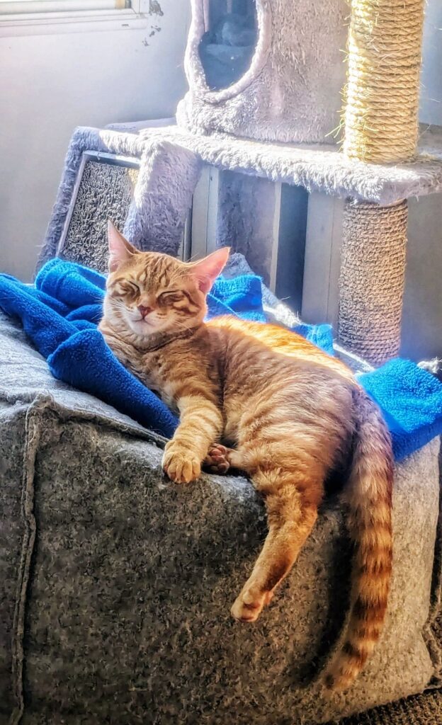 it’s another day I guess