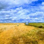 wp-17560458699556406546555136698489