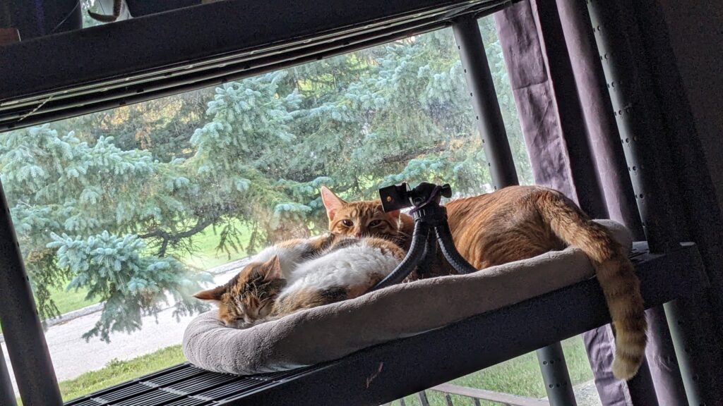 You are probably offline.