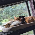 PXL_20250917_223432155