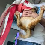 Let’s do Friday shit.