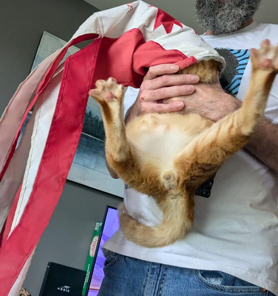 Let’s do Friday shit.