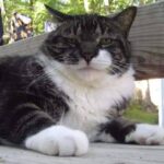 fb_img_16338749768458912918101038321501