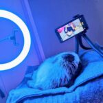 wp-17598479405072939120214017834276