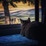 wp-17631298026032316472004814427485