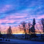 questionably consensual