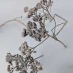 PXL_20251225_164843039