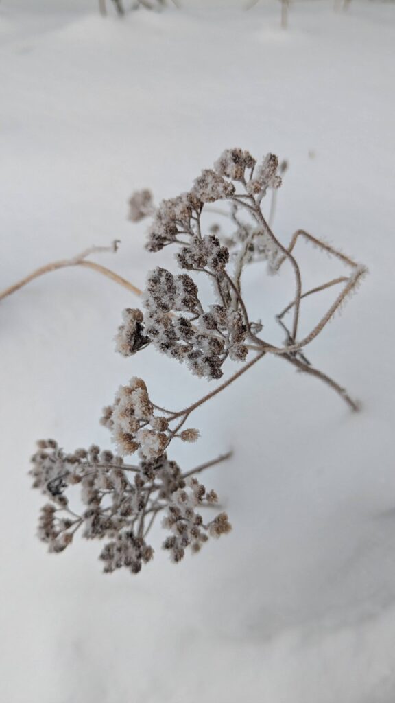 wake up jshfjhfkshkdfhskdh