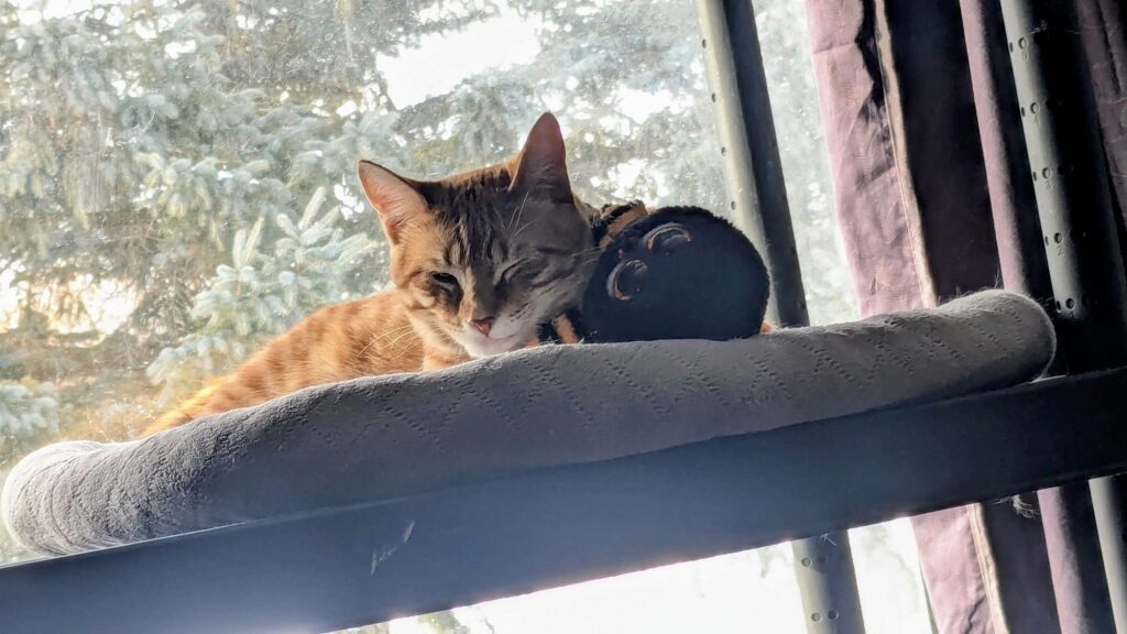 so many belts. belts everywhere.