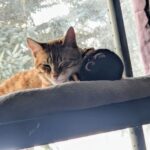 so many belts. belts everywhere.