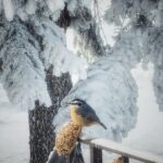 pick up the pieces again