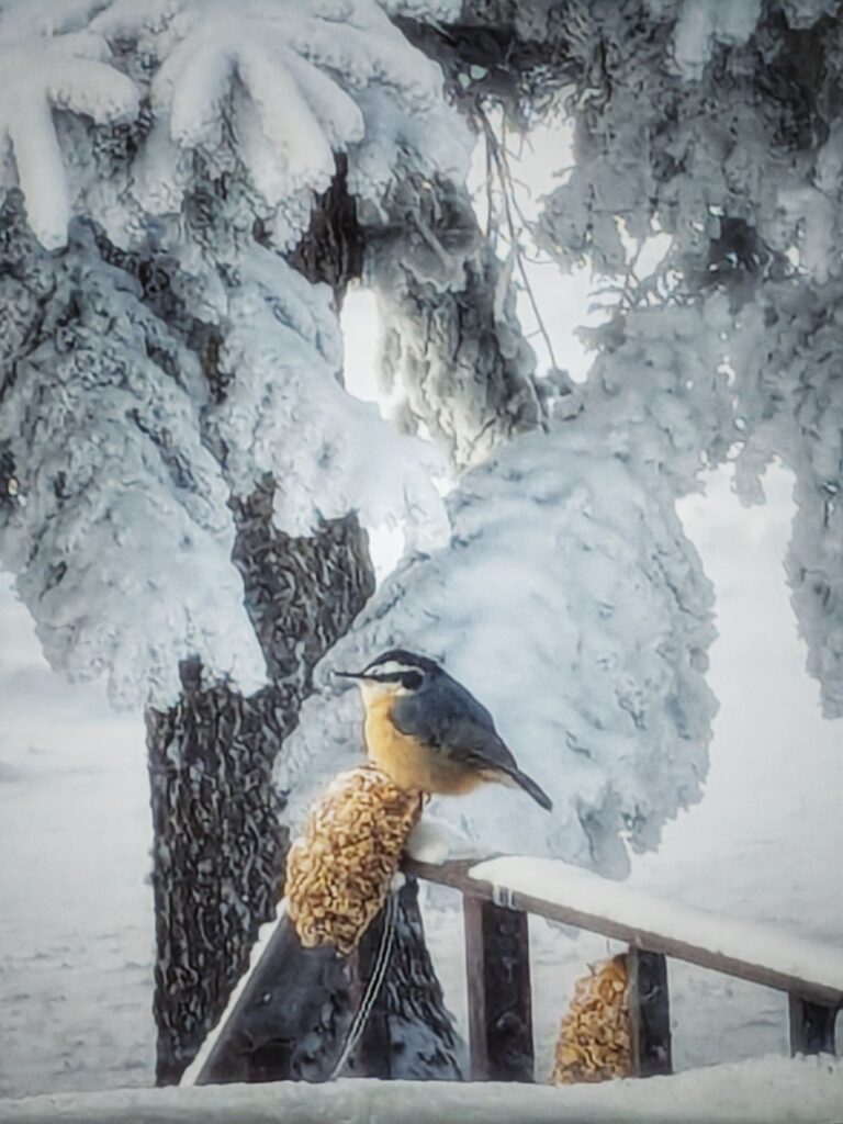 pick up the pieces again