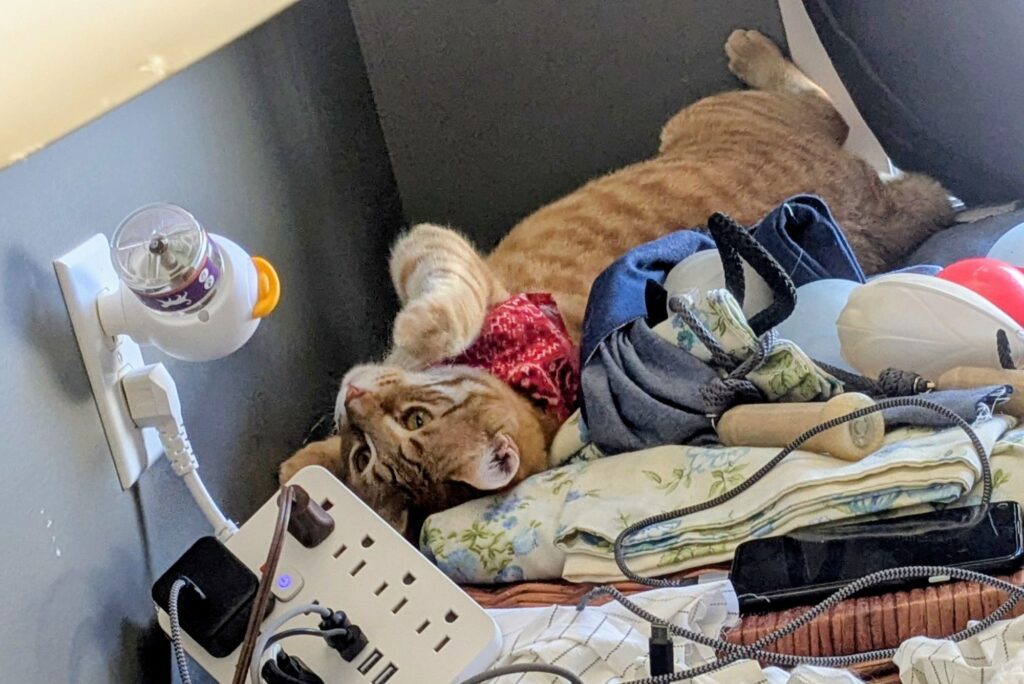 bondi’s burn book and 49 years