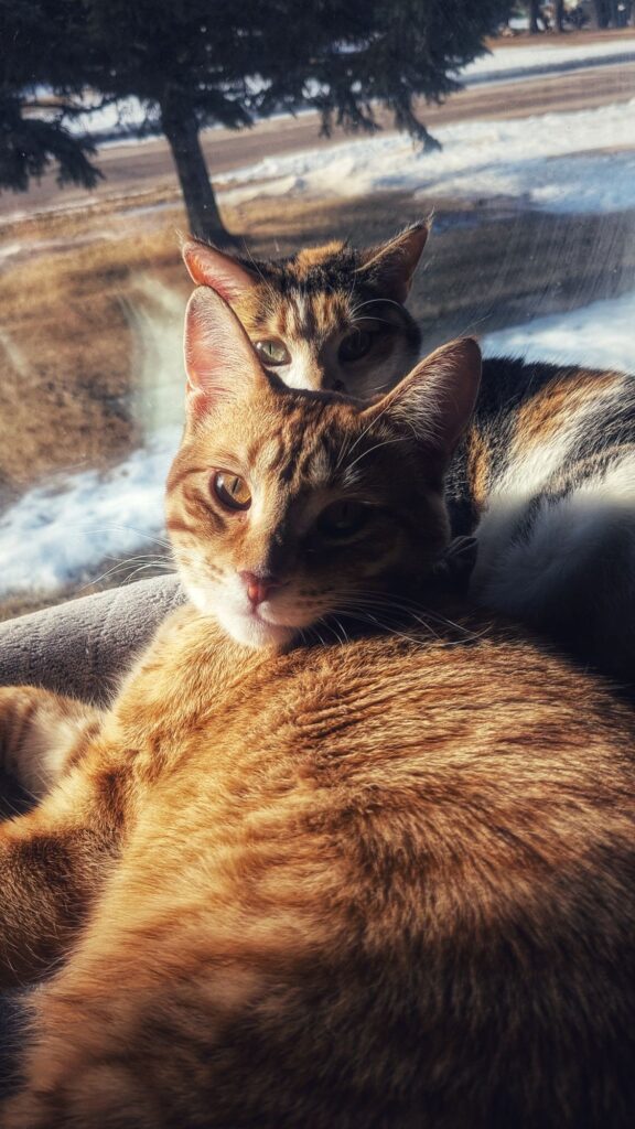 too many gloves on the Guthrie property