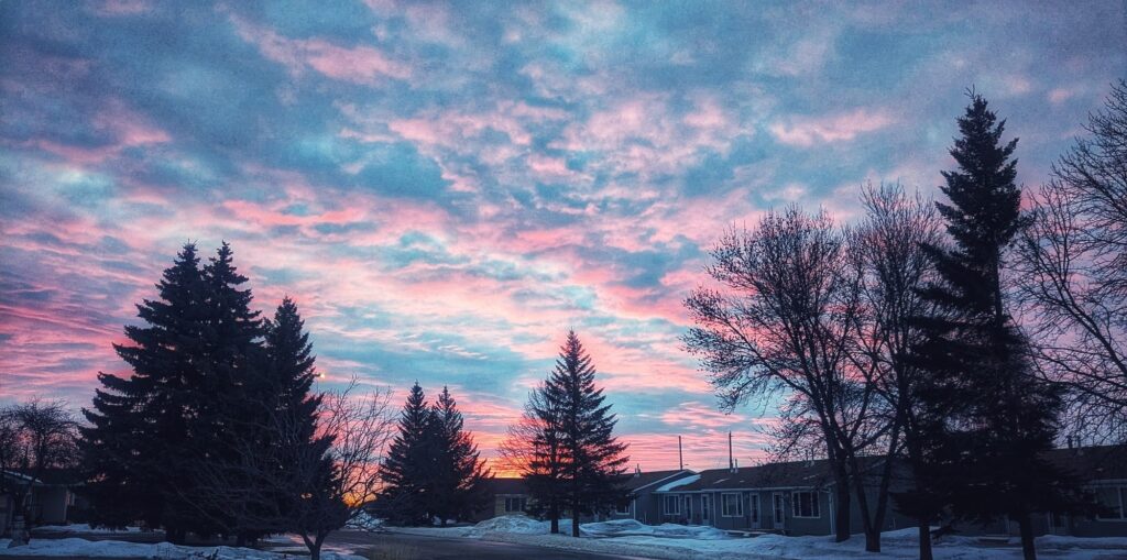 like the ugliest hoe in the window