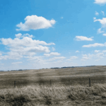 Mark me: Becky gonna fight that ref