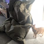 PXL_20260423_001229986