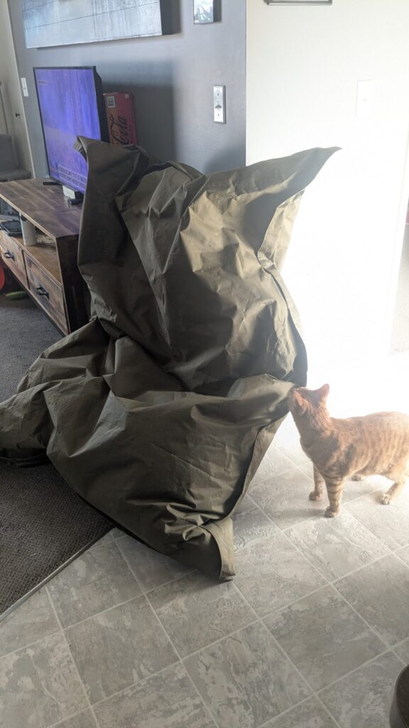 just one part of the world’s largest cornhole set